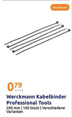 Action Werckmann kabelbinder professional tools Angebot