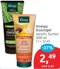 Budni Kneipp Duschgel Angebot