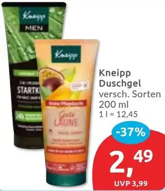 Budni Kneipp Duschgel Angebot