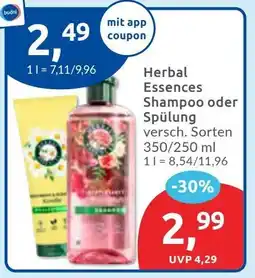 Budni Herbal Essences Shampoo oder Spülung Angebot