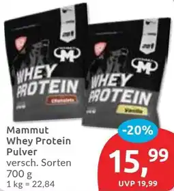 Budni Mammut Whey Protein Pulver Angebot