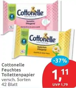 Budni Cottonelle Feuchtes Toilettenpapier Angebot