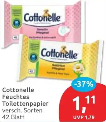 Budni Cottonelle Feuchtes Toilettenpapier Angebot