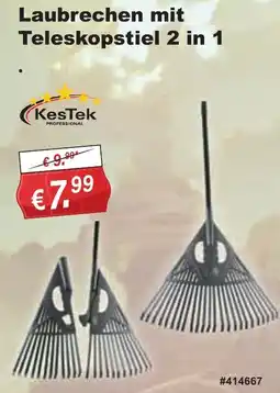 Stabilo Fachmarkt KesTek Laubrechen mit Teleskopstiel 2 in 1 Angebot