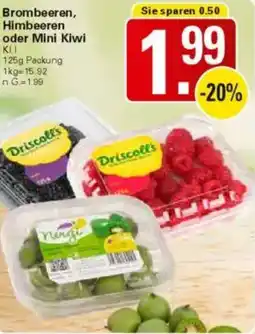 WEZ Driscoll's Brombeeren, Himbeeren oder Mini Kiwi Angebot