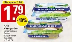 WEZ Arla Kaergarden Angebot