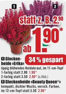 B1 Discount Baumarkt Glockenheide Erika Angebot
