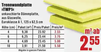 B1 Discount Baumarkt Trennwandplatte TWP1 Angebot