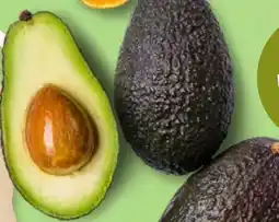 Kaufland Avocado Angebot