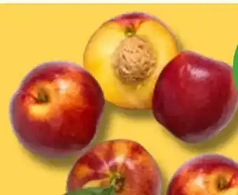 Kaufland Nektarinen Angebot
