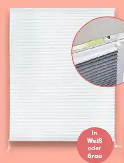 Kaufland Liv&Bo Fenster-Plissee Angebot