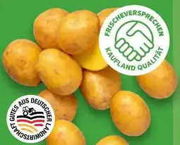 Kaufland Speisekartoffeln Angebot