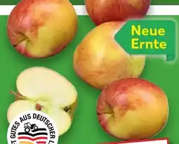 Kaufland Tafeläpfel Elstar Angebot