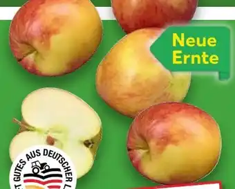 Kaufland Tafeläpfel Elstar Angebot