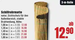 B1 Discount Baumarkt Schilfrohrmatte Angebot