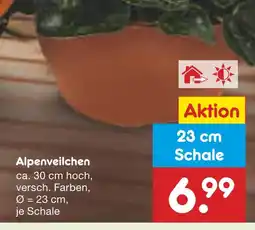 Netto Marken-Discount Alpenveilchen Angebot