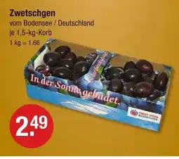 V Markt Zwetschgen Angebot