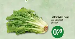 V Markt Endivien salat Angebot