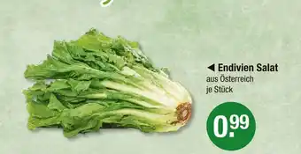 V Markt Endivien salat Angebot