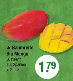 V Markt Baumreife bio mango Angebot