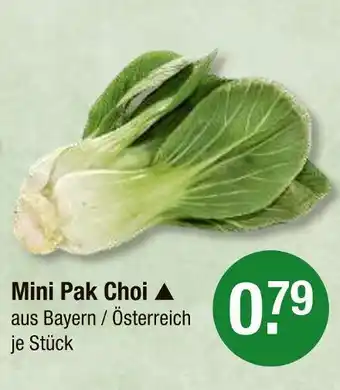 V Markt Mini pak choi Angebot