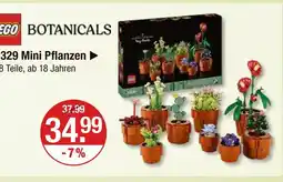 V Markt Lego botanicals 329 mini pflanzen Angebot