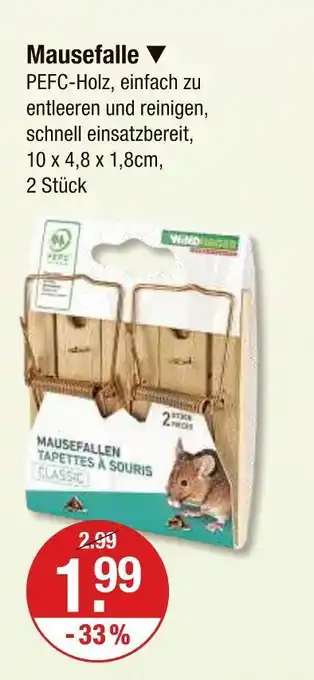 V Markt Mausefalle Angebot