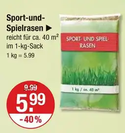 V Markt Sport- und spielrasen Angebot