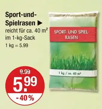 V Markt Sport- und spielrasen Angebot