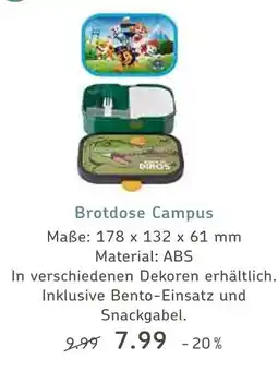 V Markt Brotdose campus Angebot