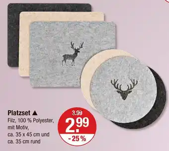 V Markt Platzset Angebot