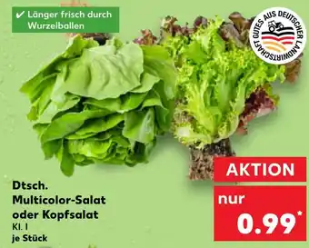 Kaufland Multicolor-salat Angebot