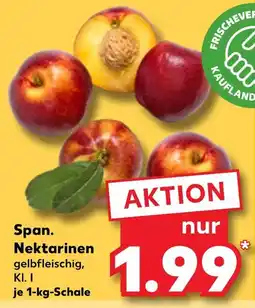 Kaufland Spanische nektarinen Angebot