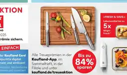 Kaufland Zwilling messerset Angebot