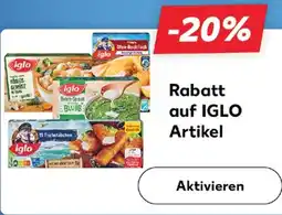 Kaufland Iglo 20% rabatt Angebot