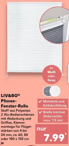 Kaufland LIV&BO Plissee Fenster-Rollo Angebot
