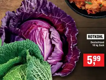 Handelshof Rotkohl Angebot