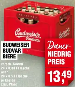 Handelshof Budweiser budvar biere Angebot