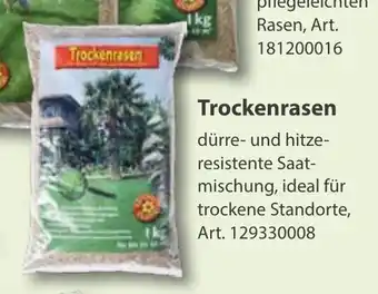 Sonderpreis Baumarkt Trockenrasen Angebot