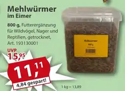 Sonderpreis Baumarkt Mehlwürmer im Eimer Angebot