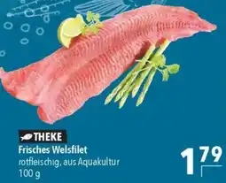 CITTI Markt Frisches Welsfilet Angebot