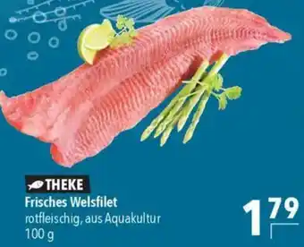 CITTI Markt Frisches Welsfilet Angebot