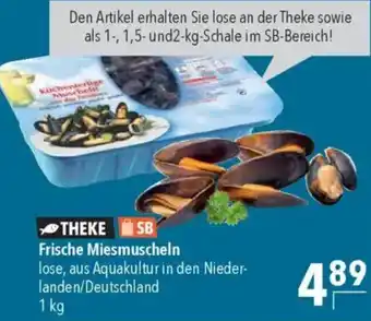 CITTI Markt Frische Miesmuscheln Angebot