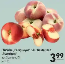 CITTI Markt Pfirsiche „Paraguayos" oder Nektarinen „Platerinas" Angebot
