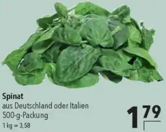 CITTI Markt Spinat Angebot