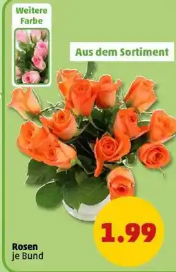PENNY Rosen Angebot
