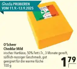 CITTI Markt O'Scheer Cheddar Mild Angebot