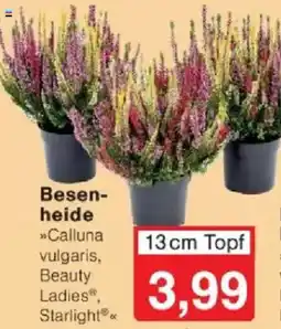 Jawoll Besenheide Angebot
