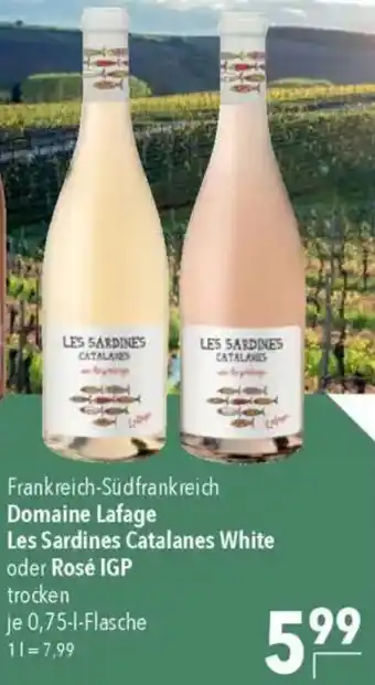 CITTI Markt Domaine Lafage Les Sardines Catalanes White oder Rosé IGP Angebot