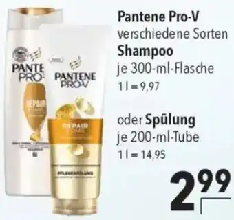 CITTI Markt Pantene Pro-V Shampoo oder Spülung Angebot